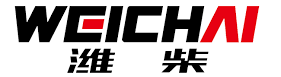 Weichai DMC consulting